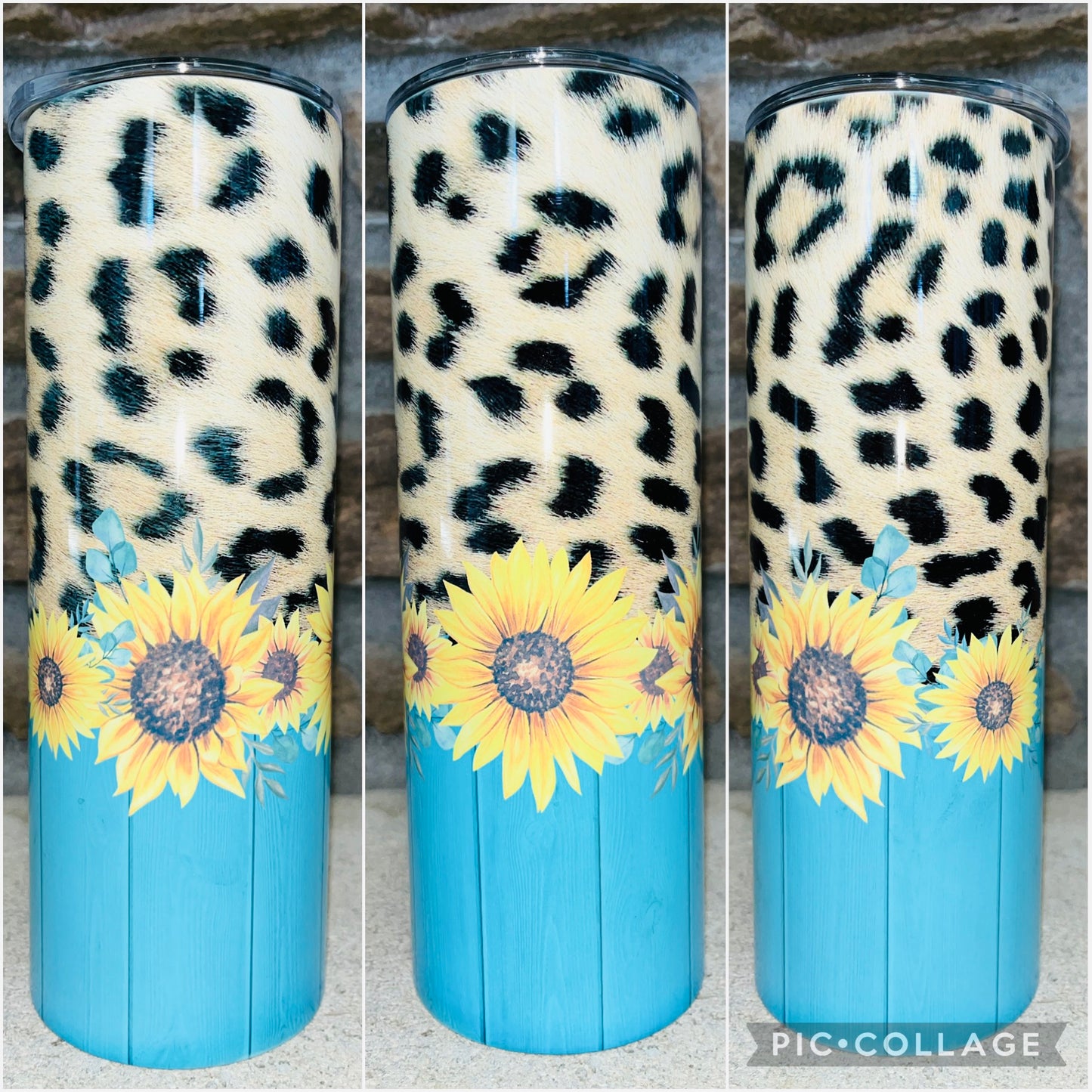 Wild Sunflower